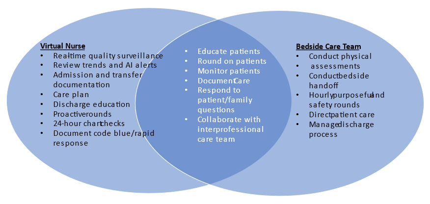 Virtual Nurse Program Figure 2.png