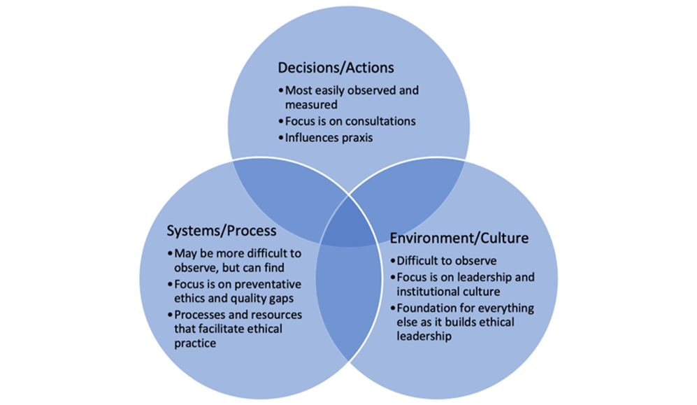 Unit-Based-Ethics-Rounds_Figure-2.png