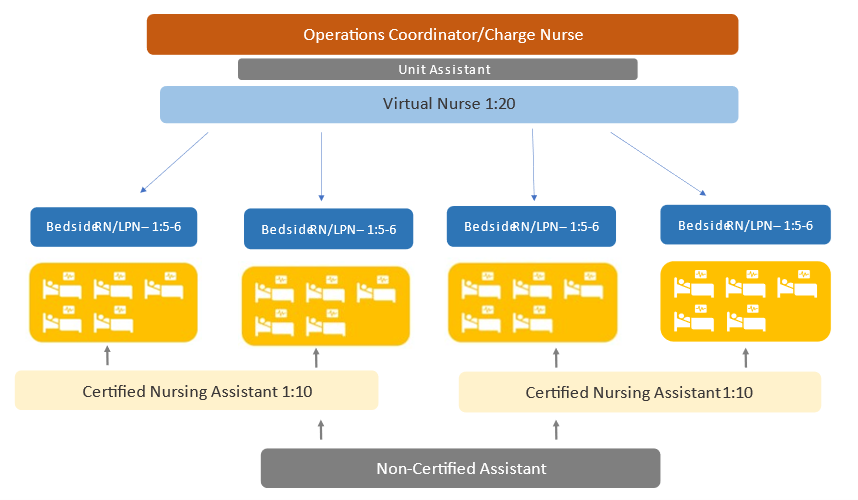 Virtual Nurse Program Figure 1.png